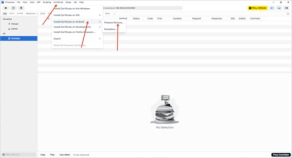 Proxyman Windows版本