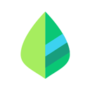 薄荷记账下载v11.8.5安卓免费版