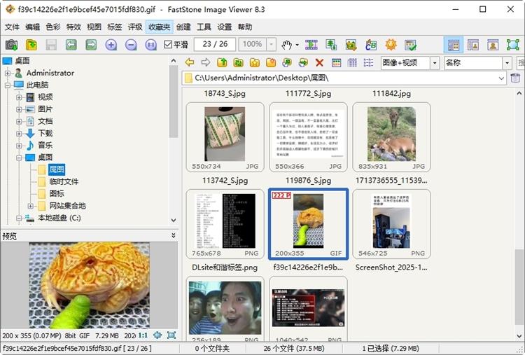 FastStone Image Viewer