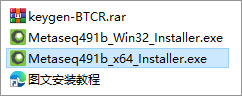 Metasequoia4
