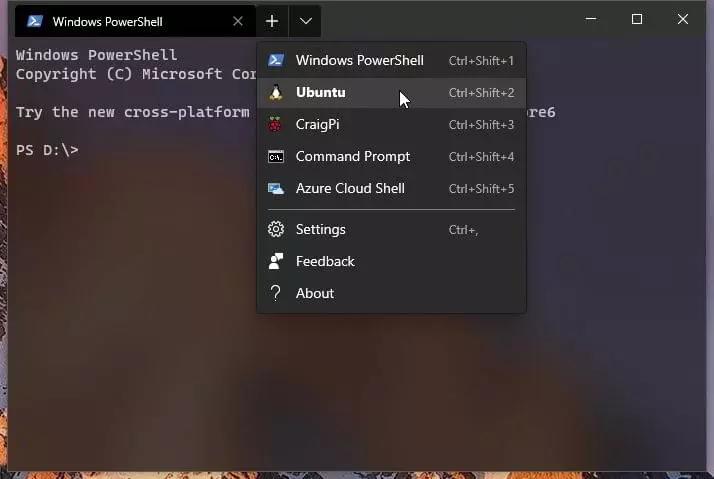 Windows Terminal